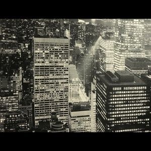 Meet your Posher, Sasha